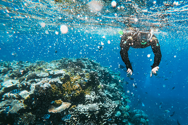 Dive shops in playa del carmen